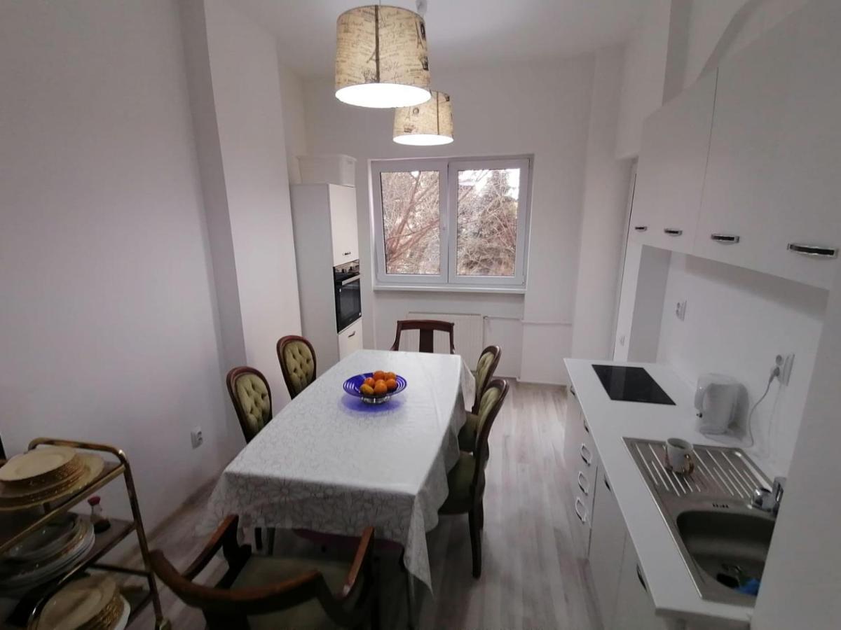 Central Appartment - Heart Of Bucharest - Sector 1 - New Renovated - Open Space ภายนอก รูปภาพ