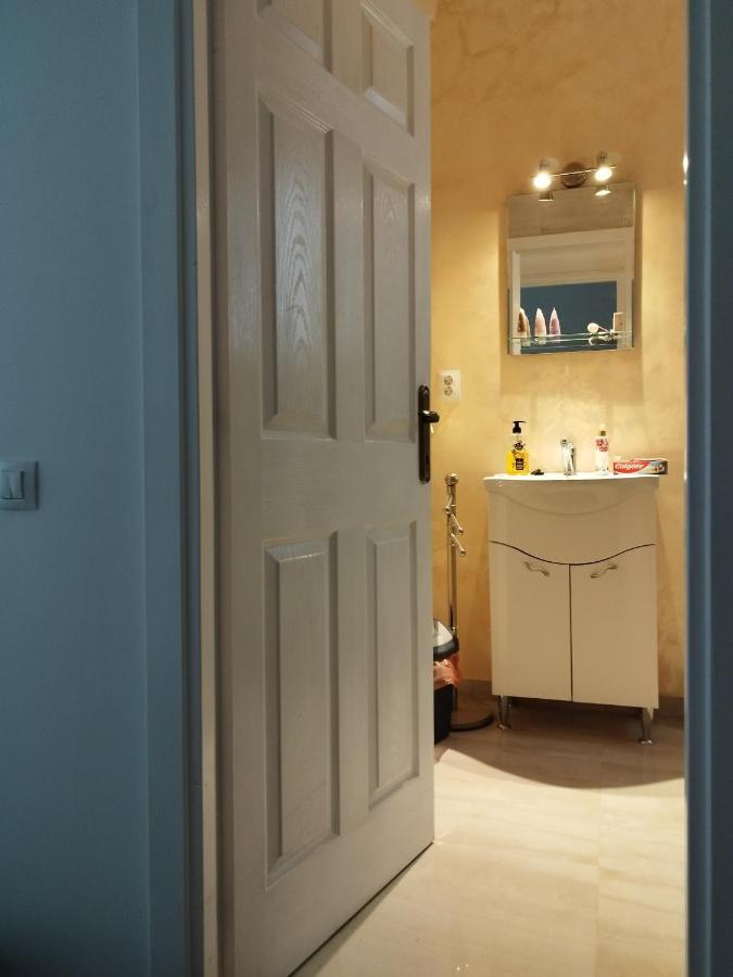 Central Appartment - Heart Of Bucharest - Sector 1 - New Renovated - Open Space ภายนอก รูปภาพ