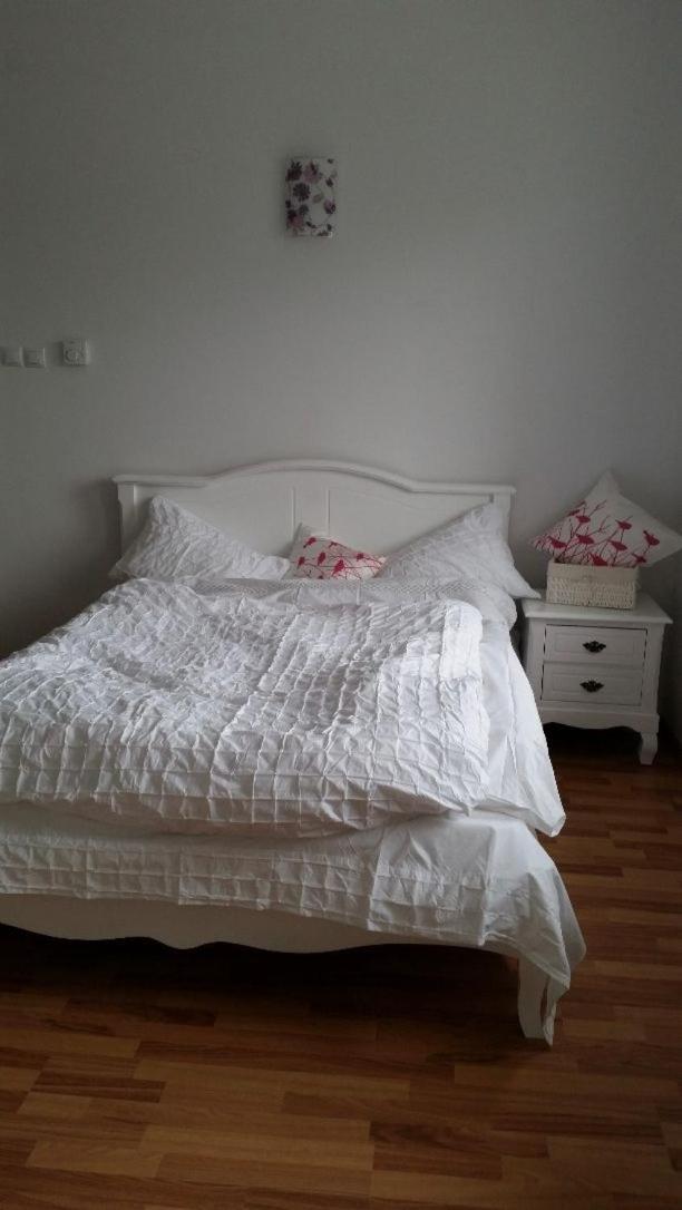 Central Appartment - Heart Of Bucharest - Sector 1 - New Renovated - Open Space ภายนอก รูปภาพ